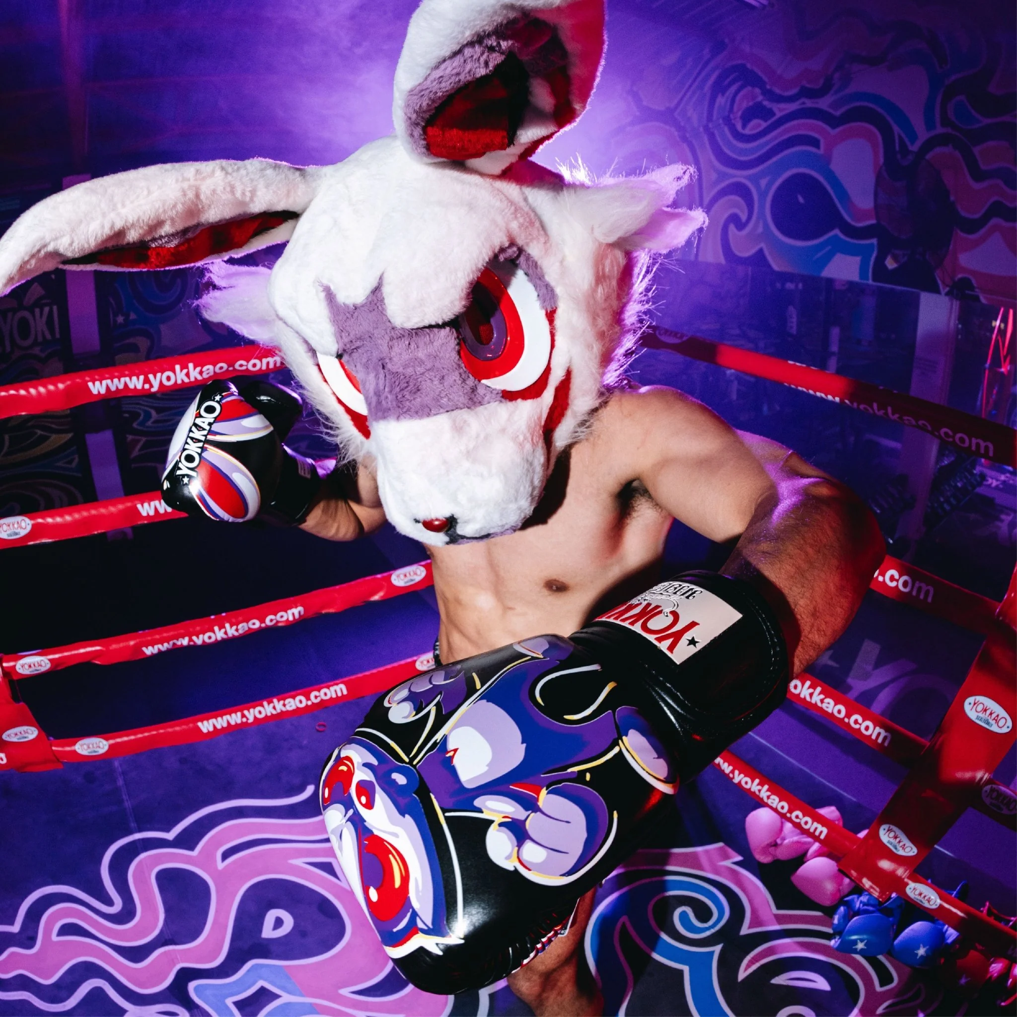 Angry Rabbit Boxing Gloves - Image 4