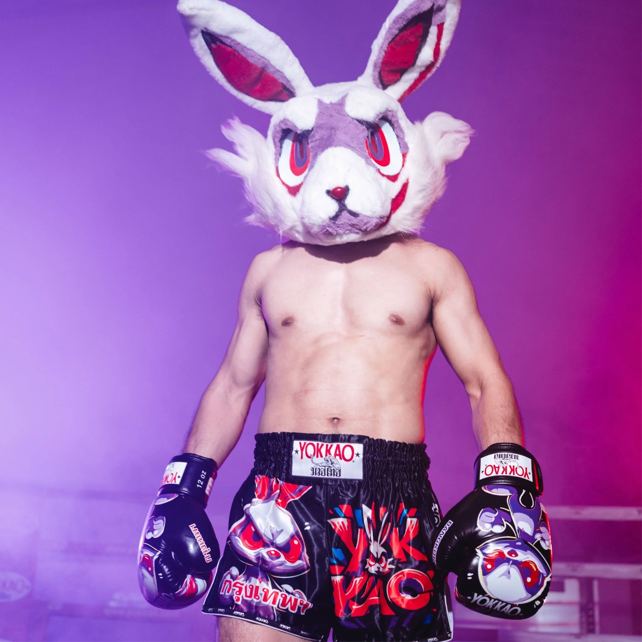 Angry Rabbit Muay Thai Shorts - Image 4