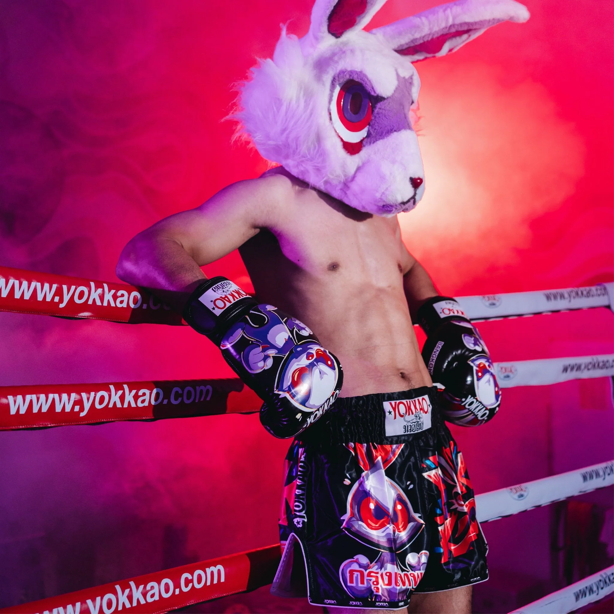 Angry Rabbit Muay Thai Shorts - Image 5