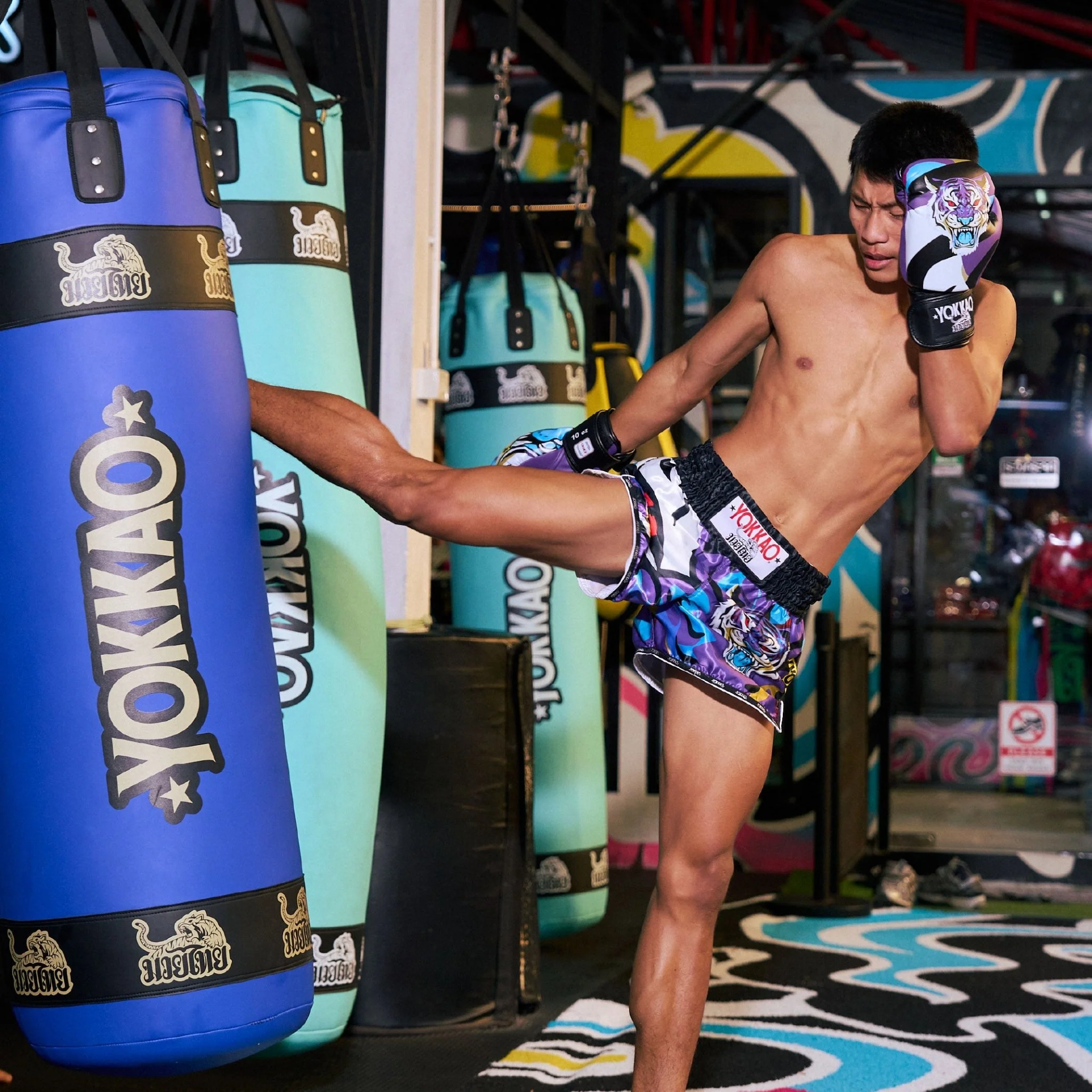 Angry Tiger Boxing Gloves - Image 20