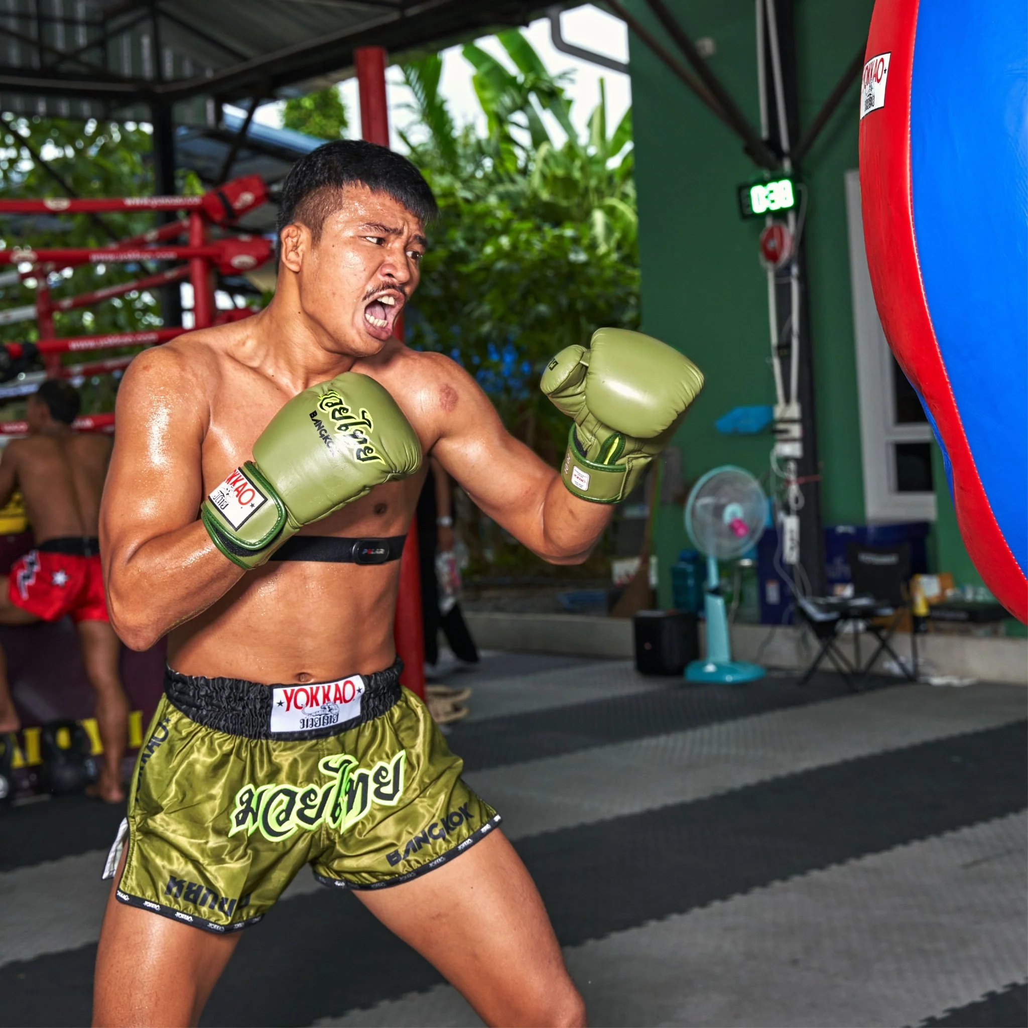 Late Show Muay Thai Shorts - Image 5