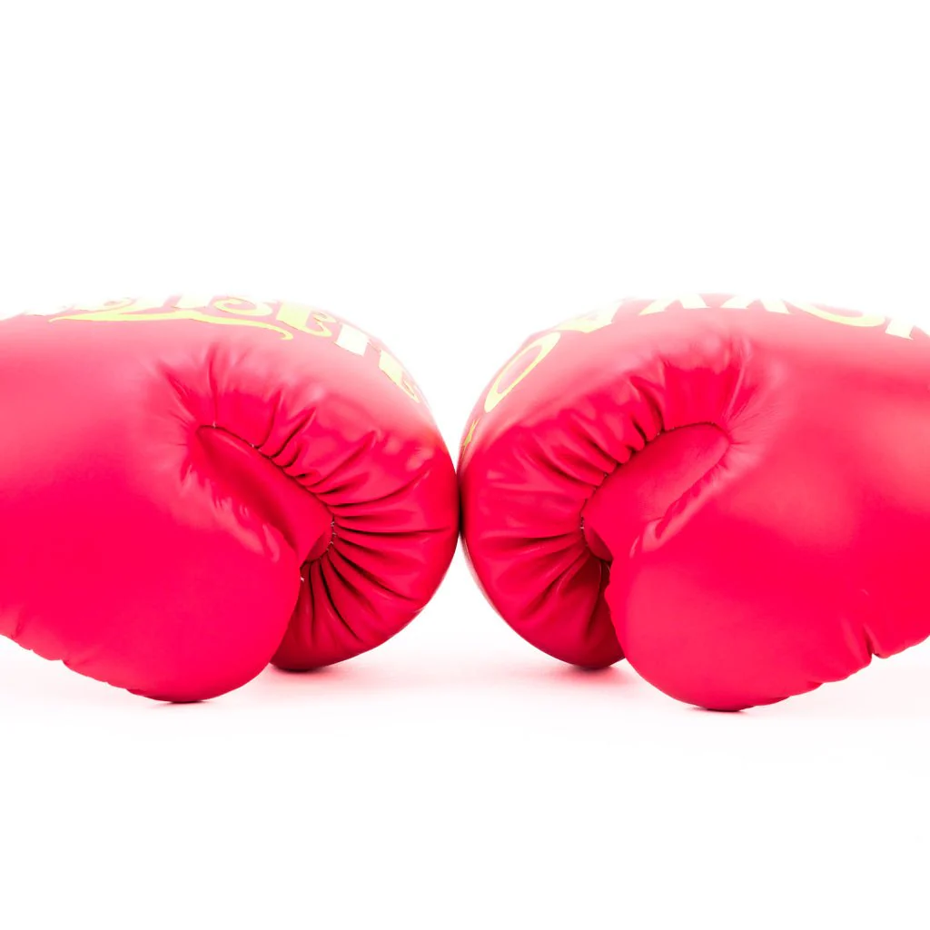 Legacy Boxing Gloves - Image 16