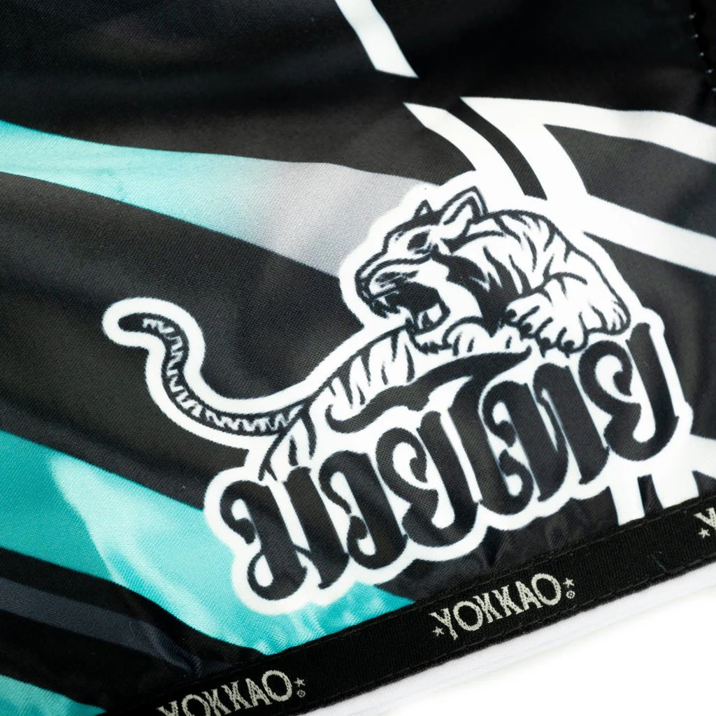 Power Muay Thai Shorts - Image 4