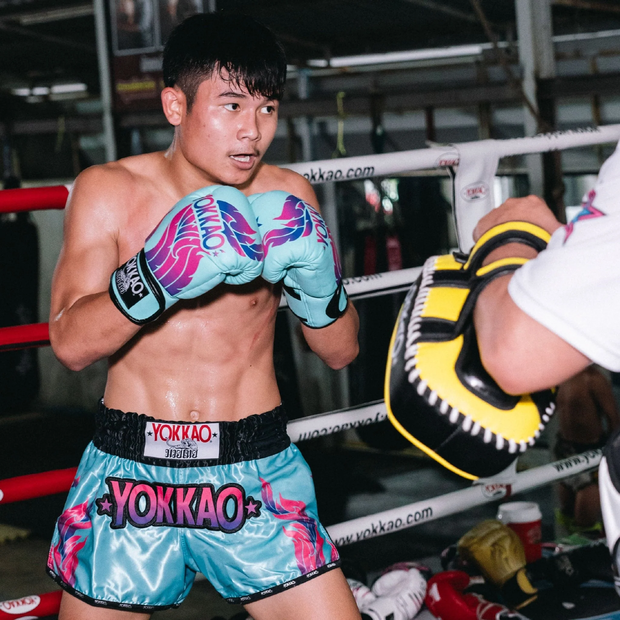The Flame Muay Thai Shorts - Image 22