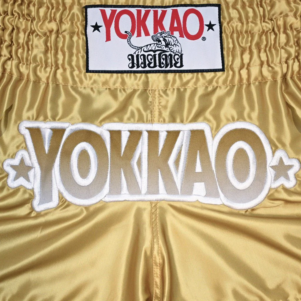 The Flame Muay Thai Shorts - Image 3