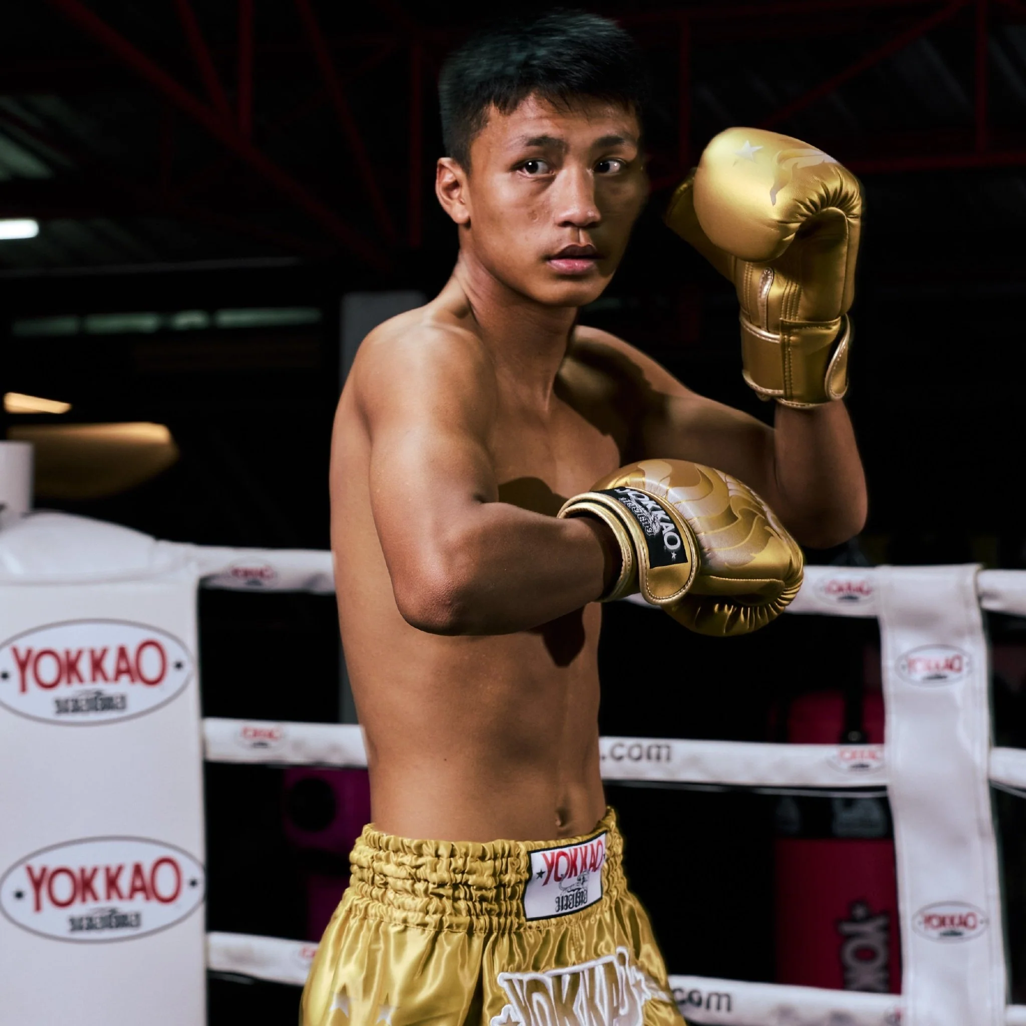 The Flame Boxing Gloves - Image 66
